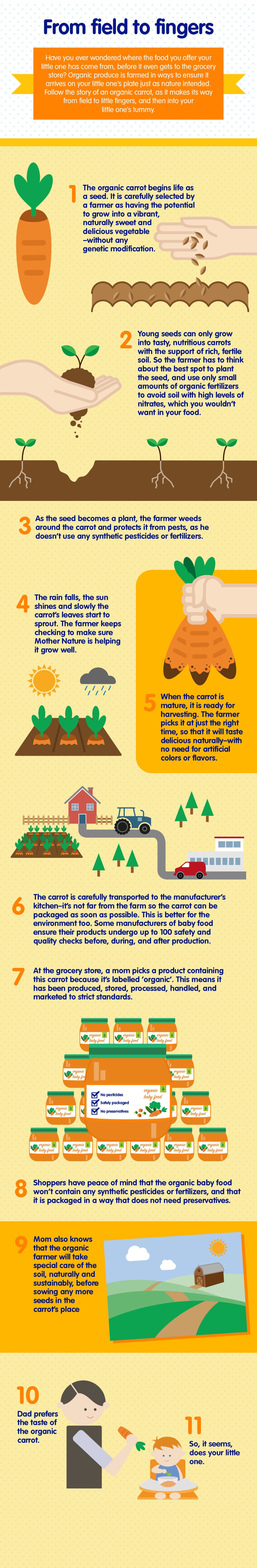 5. Baby organic foods_02_LEARN_From field to fingers_900px-2