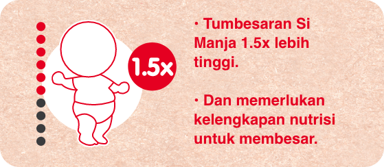 6 bulan 2