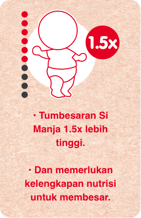 6 bulan 2