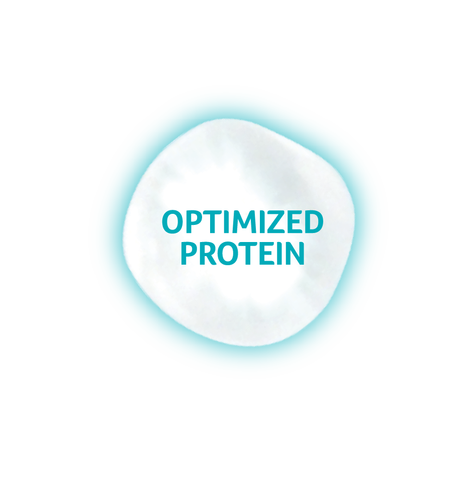 Optipro 1