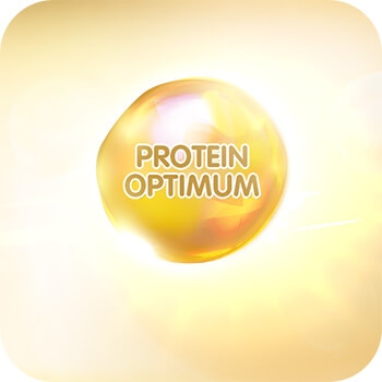 optimized protein