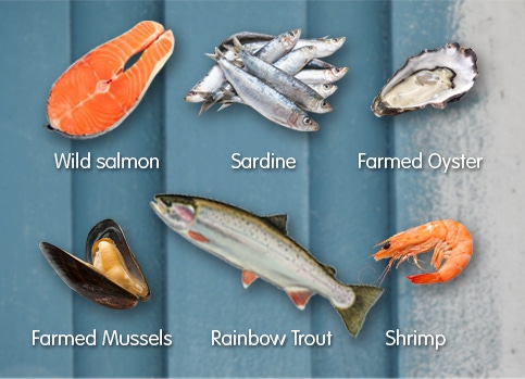 Top six seafood