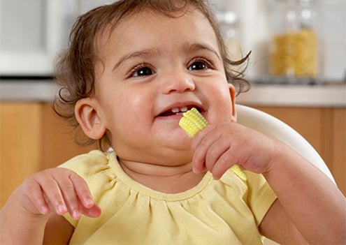 Sweet baby corn cobs