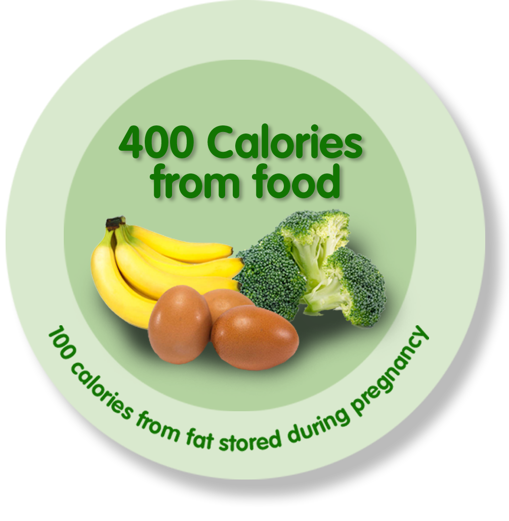 400 calories from food