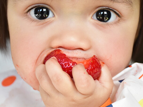 baby-led-weaning baby-led-weaning