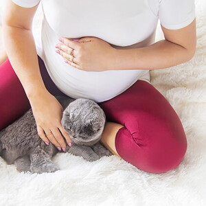 20-Week Pregnant: Development and Diet