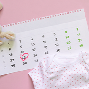 pregnancy weekly calendar pregnancy weekly calendar