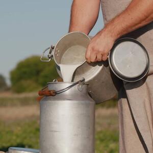 Milk protein allergy —what you need to know