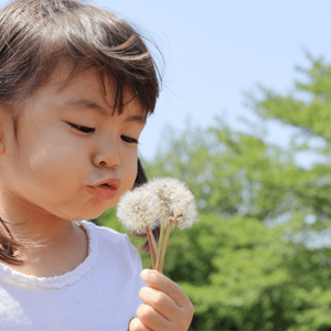 article-allergies-and-immune-system