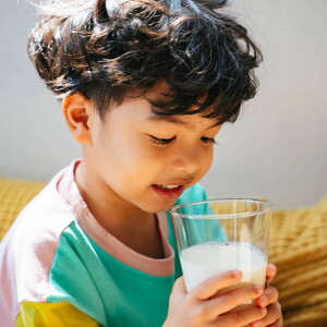 What Makes Milky Hypoallergenic