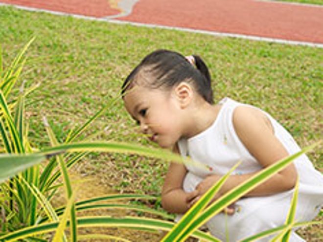 Natural Protection - Benefits of Probiotics for Children