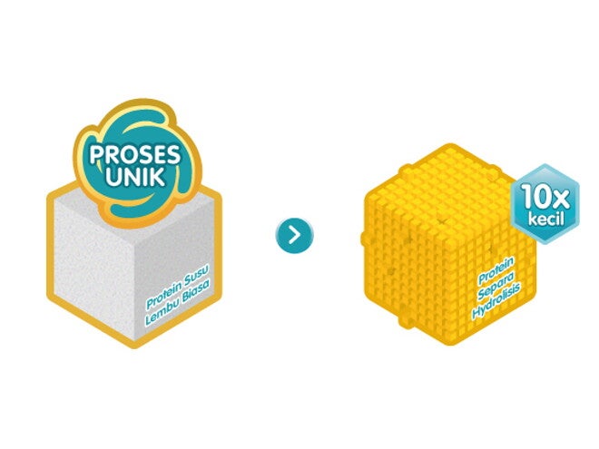 Learn the hard facts of Partially Hydrolysed Protein vs Regular Cow’s Milk Protein.