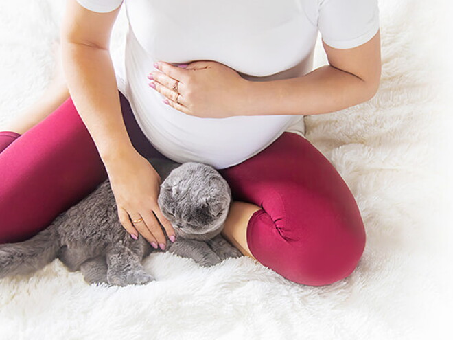 20-Week Pregnant: Development and Diet 20-Week Pregnant: Development and Diet