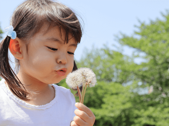 article-allergies-and-immune-system article-allergies-and-immune-system