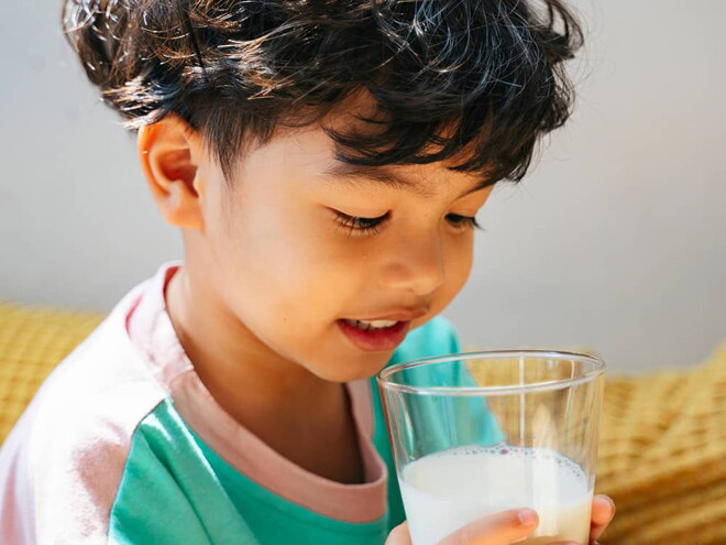 What Makes Milky Hypoallergenic What Makes Milky Hypoallergenic