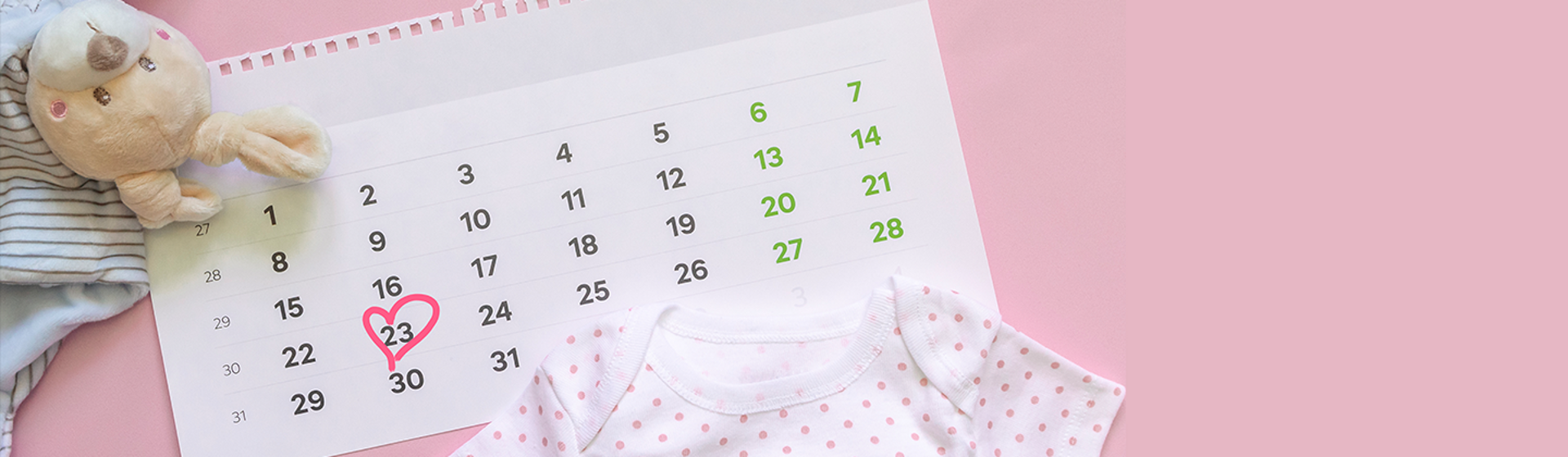 pregnancy weekly calendar