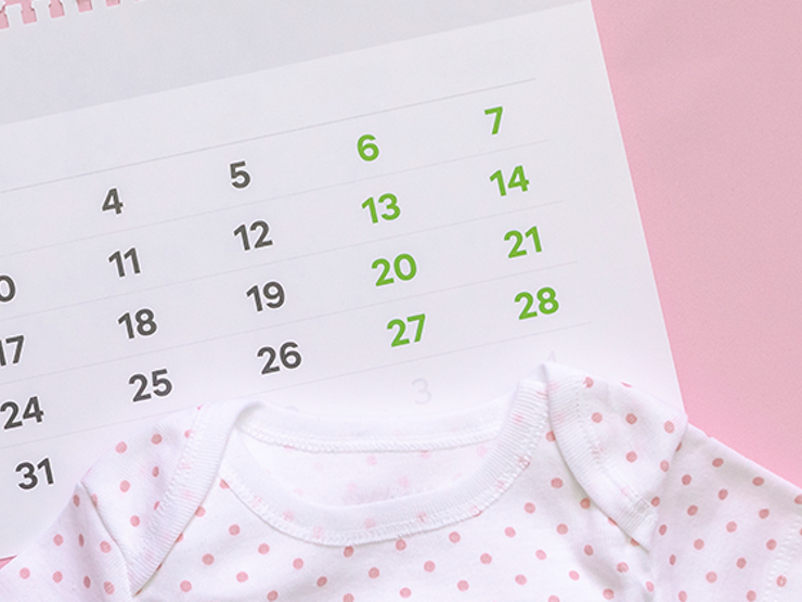 pregnancy weekly calendar