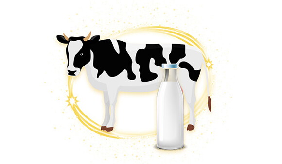 Cow’s-Milk-Protein-Allergy