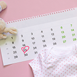 Pregnancy Weekly Calendar