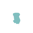 Toddlerhood