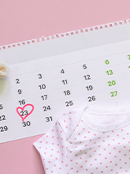 pregnancy weekly calendar