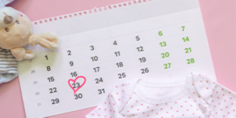 pregnancy weekly calendar